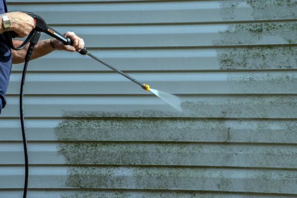 Best Brick and Stone Cleaning in Oregon, WI